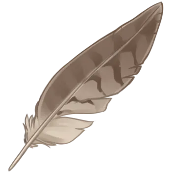 a brown feather on a white background