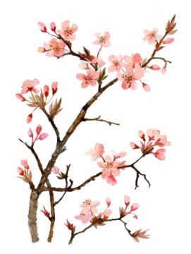 a branch with pink flowers on it