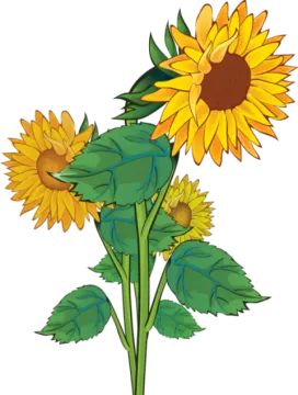 two sunflowers clip art