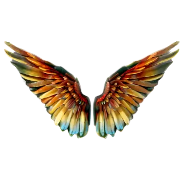 a pair of wings on a white background