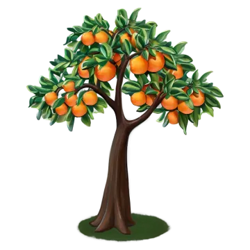 a tree with oranges on it