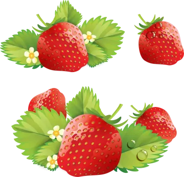 a set of three strawberries with leaves and berries