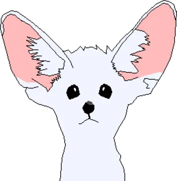 a white cat with pink ears and black eyes