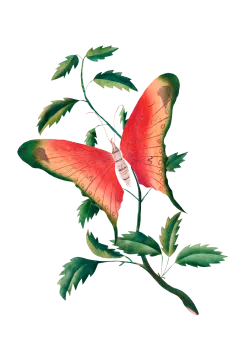 a red butterfly sitting on top of a plant