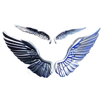 a pair of wings on a white background