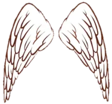 how to draw angel wings