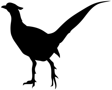 a dinosaur silhouetted on a white background