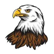 an eagle head with brown and white feathers