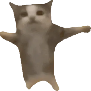 an image of a cat that is standing up