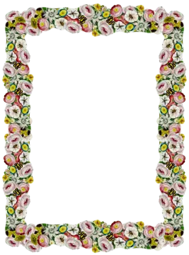a floral frame on a white background