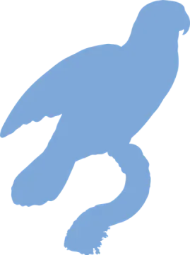 a silhouette of a bird on a white background