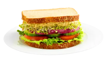 a white plate with a sandwich on it