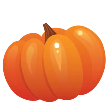 an orange pumpkin on a white background