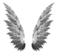 a pair of wings