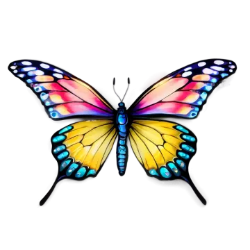 a colorful butterfly on a white background