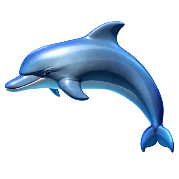 a dolphin jumping out of the water