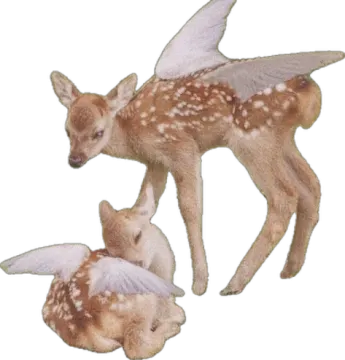 a baby deer laying next to an adult deer