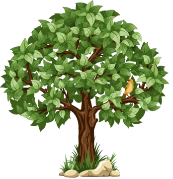 a tree with green leaves on a white background