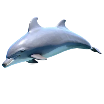a dolphin jumping in the air on a white background