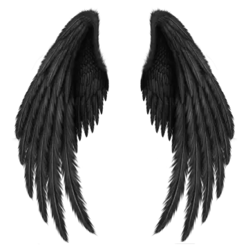 two black wings on a white background