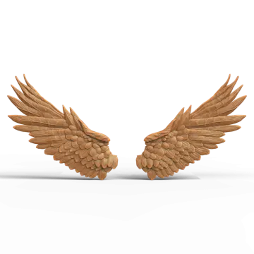 two wooden wings on a white background