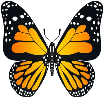 a monarch butterfly clipart