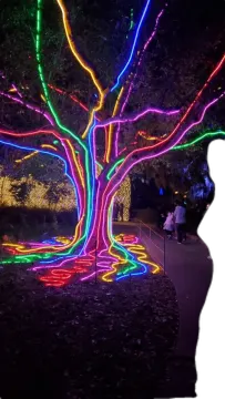 a tree that is lit up with colorful lights