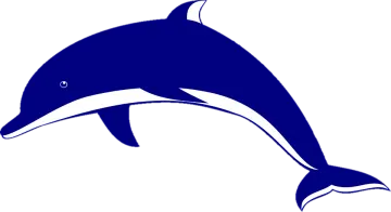 a dolphin jumping out of the water