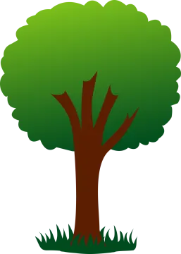 a tree with green leaves