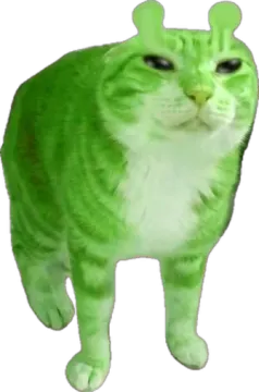 a green cat standing on top of a white surface
