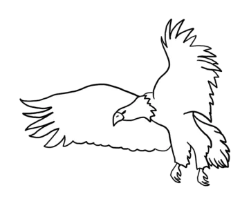 how to draw an eagle