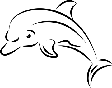 a dolphin jumping in the air on a white background