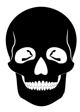 a black and white image of a skull