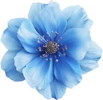 a blue flower on a white background