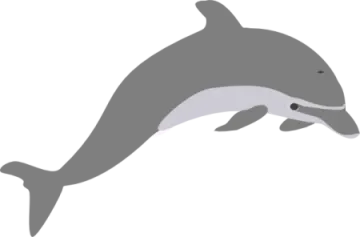 a dolphin jumping out of the water