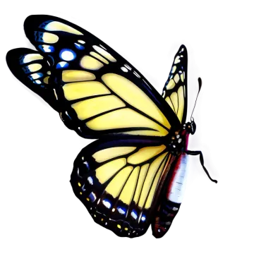 a yellow butterfly on a white background