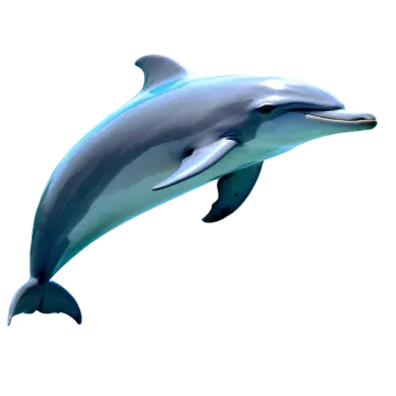 a dolphin jumping in the air on a white background