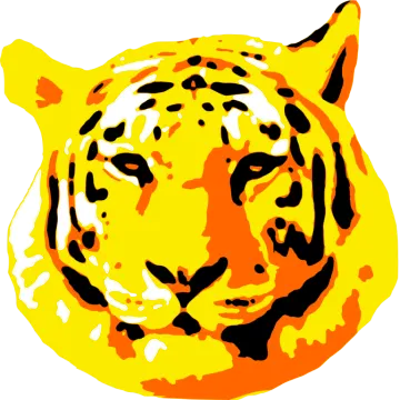the head of a tiger