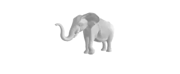 an elephant is standing on a white surface