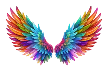 a rainbow colored wing on a white background