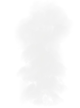 a black and white drawing of a tree