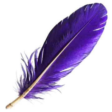 a purple feather on a white background