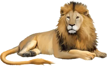 a drawing of a lion laying down