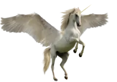 an image of a white unicorn with wings