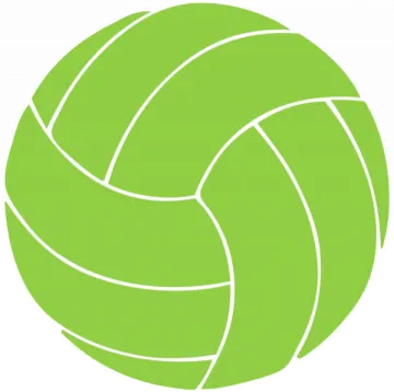 a green volleyball ball