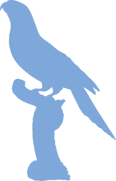 a bird sitting on top of a person's hand