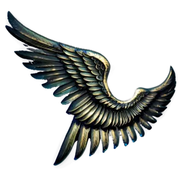 a black bird with its wings spread