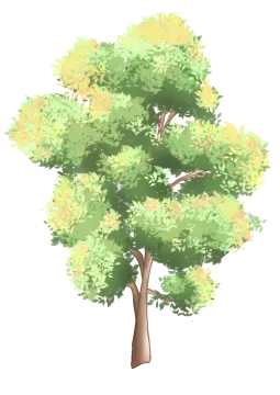 a green tree with yellow leaves