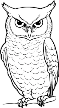 an owl sitting on a branch coloring page