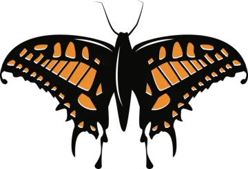 a butterfly with orange and black wings